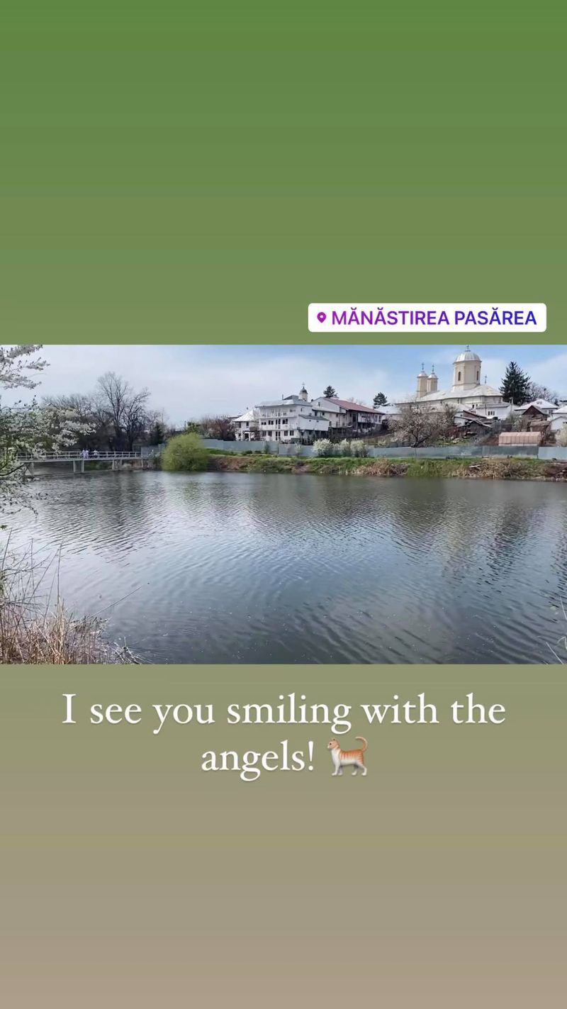 Pisica Alexandrei Stan