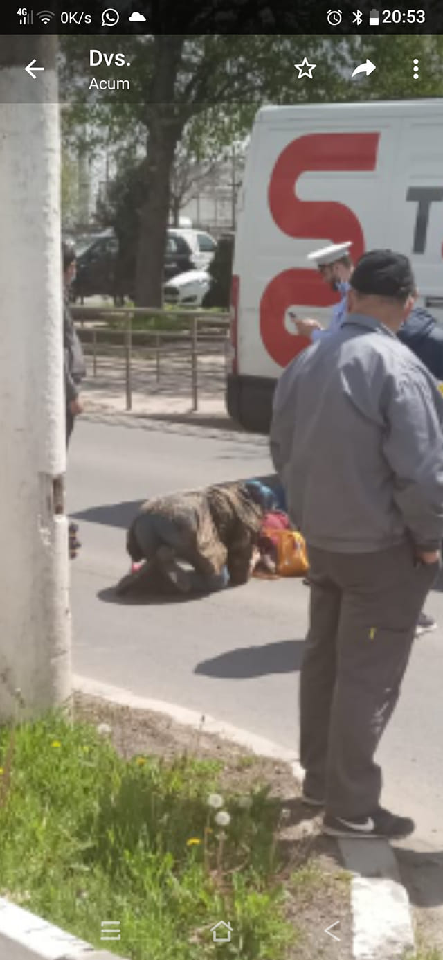 Intervenția autorităților 