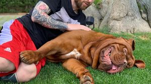 Leo Messi