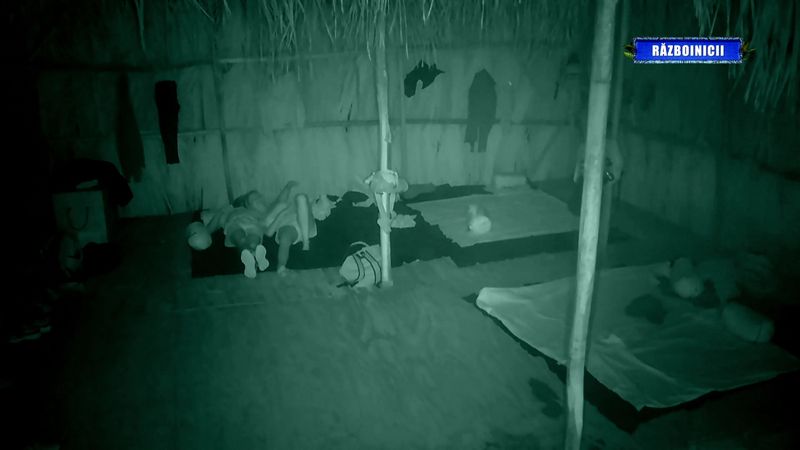 Albert Oprea, declarație surprinzătoare pentru Maria Chițu la Survivor România