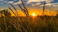Cum va fi vremea în Dobrogea