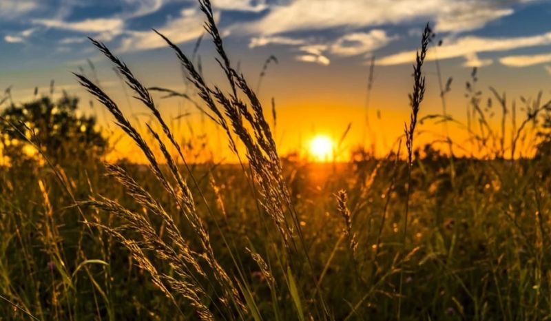 Cum va fi vremea &icirc;n Dobrogea
