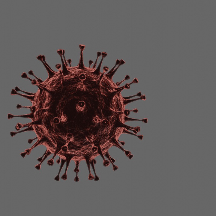Brazilia coronavirus