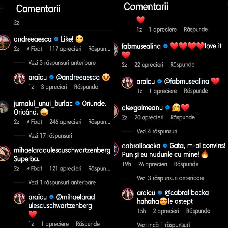 Reacţia vedetelor, după ce Andreea Raicu a postat fotografia nud