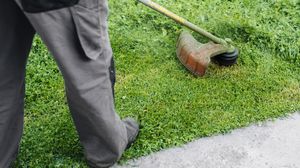 Special, cu 3 laturi sau 40 de dinti? Iata cum sa alegi discul de motocoasa potrivit fiecarei situatii!