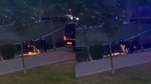 Intervenția autorităților în Parcul Colentina 
