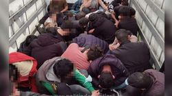 30 de sirieni și irakieni, printre care și un copil de 3 ani, încercau să treacă ilegal frontiera cu Ungaria! 