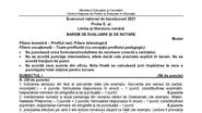 Modele de subiecte la română pentru BAC 2021