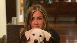 Cu cine s-a iubit Jennifer Aniston. A fost căsătorită cu Brad Pitt, unul dintre cei mai sexy bărbați din lume
