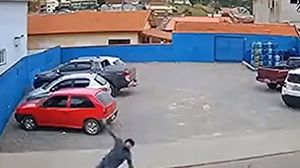 Lovit de câine pe trecerea de pietoni