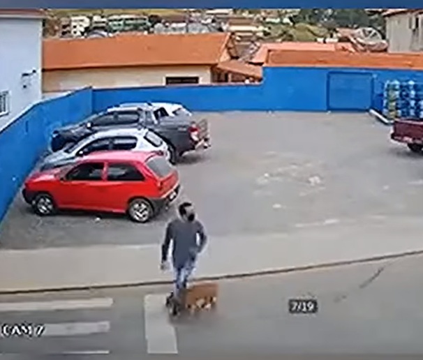 Lovit de câine pe trecerea de pietoni