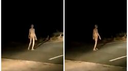 Extraterestru sau fantomă? Imaginile care au împărțit internetul în două VIDEO