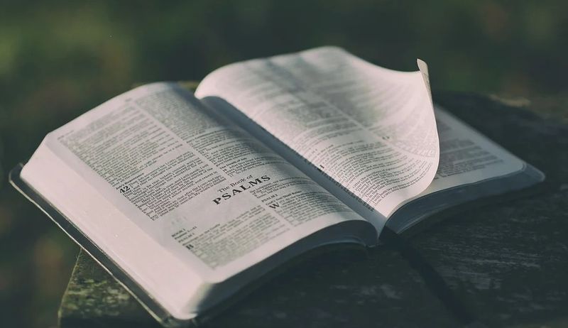 Sf&acirc;ntul Cuvios Onufrie cel Mare, aruncat de tată &icirc;n foc la &icirc;ndemnul Diavolului