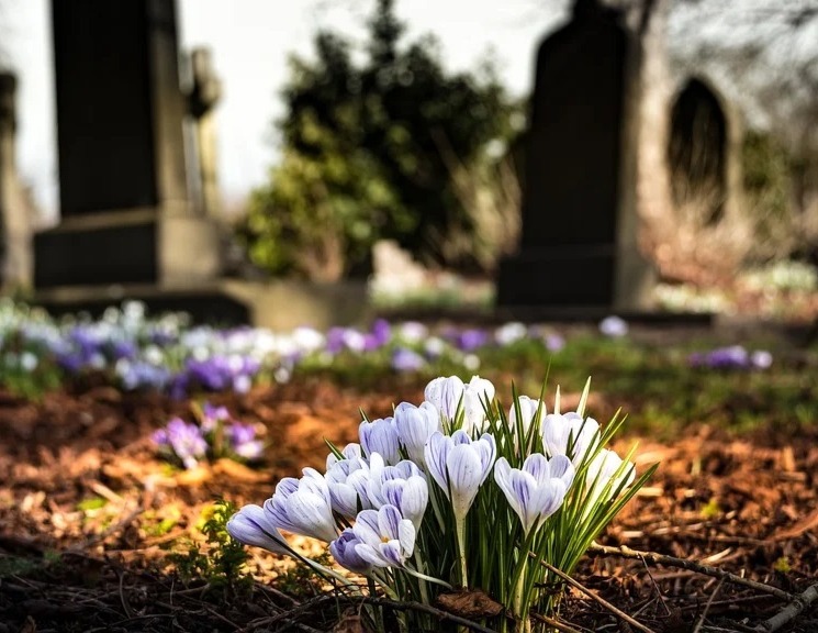cimitir-2-jpg.jpg