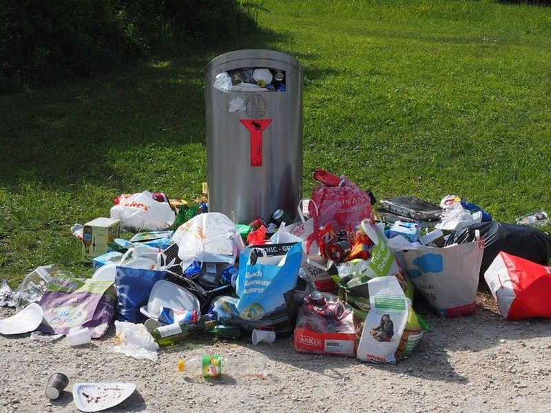 Gunoaiele neridicate din Sectorul 1 ridică mari probleme