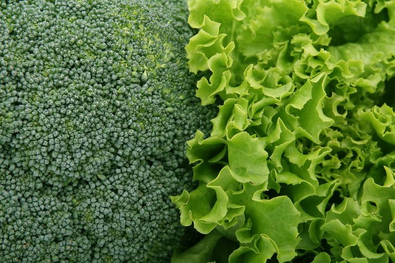 Cât de importantă este vitamina A în organism