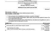 Barem BAC 2021. Proba la alegere: Biologie vegetală