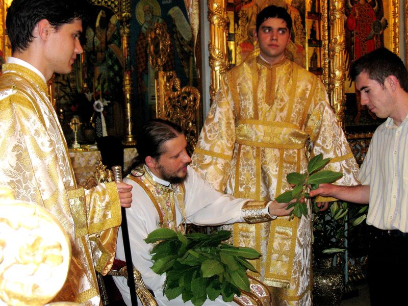 Ce semnificaţie au frunzele de nuc care se sfinţesc la biserică în ziua Pogorârii Sfântului Duh