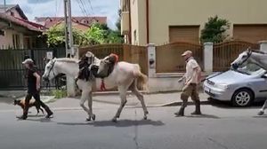 Turiștii rătăciți se află într-un tur prin Europa