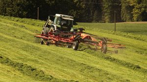 Noul fermier 2021. Cei care vor da startul afacerilor în agricultură pot primi până la 100.000 de euro