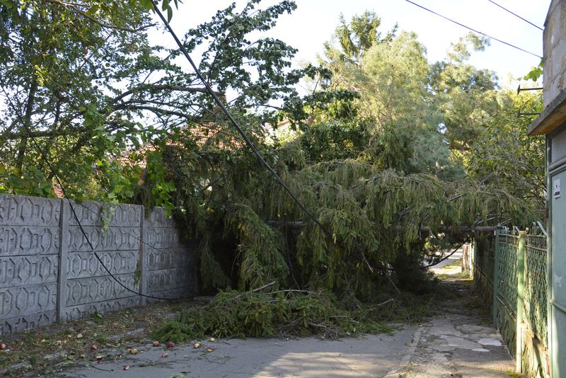 Cod roșu de temperaturi extreme