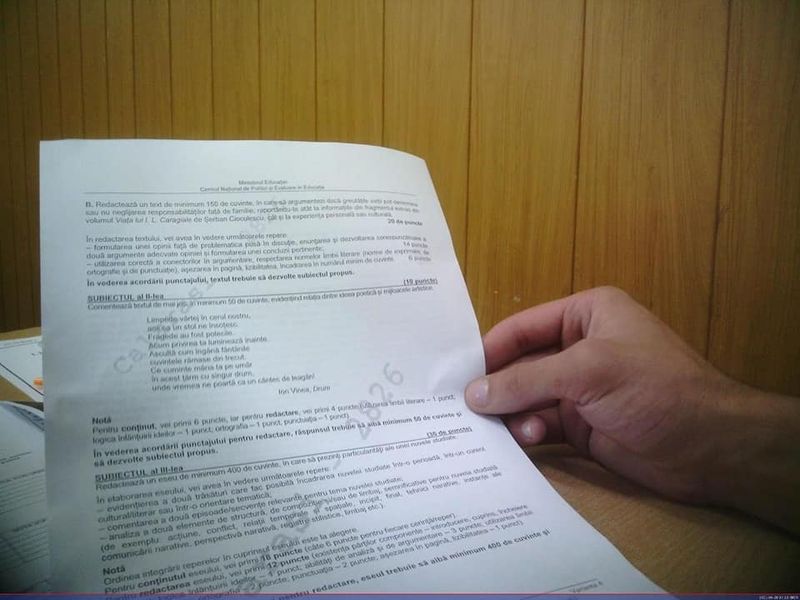 Subiecte rom&acirc;nă Bacalaureat 2021 &ndash; Profil real