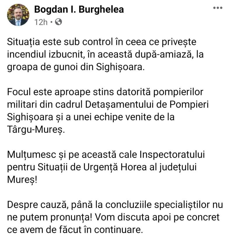 Gunoaiele au ars cu o degajare mare de fum, pe o suprafață de aproximativ 400 de metri pătrați.