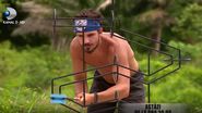 survivor romania