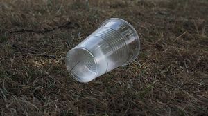 De astăzi, obiectele de unică folosință din plastic vor fi interzise