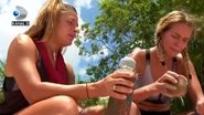 survivor romania