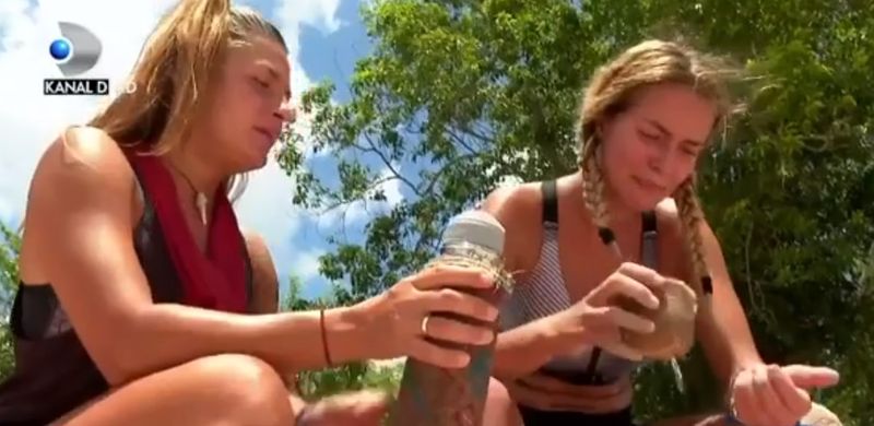survivor romania