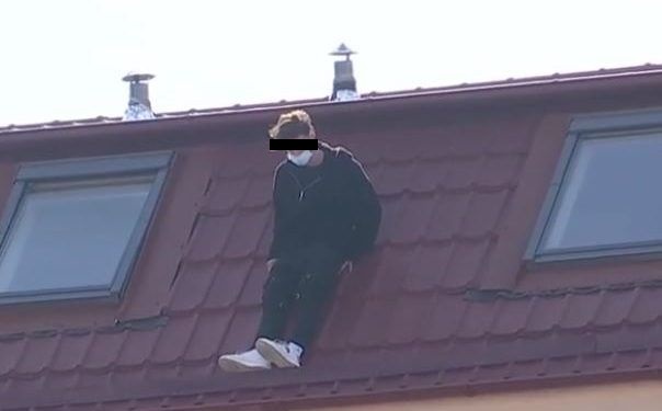 zanni 
