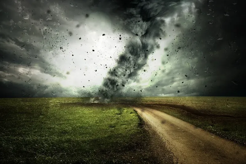 Schimbările climatice vor face ravagii asupra vieții pe Pământ