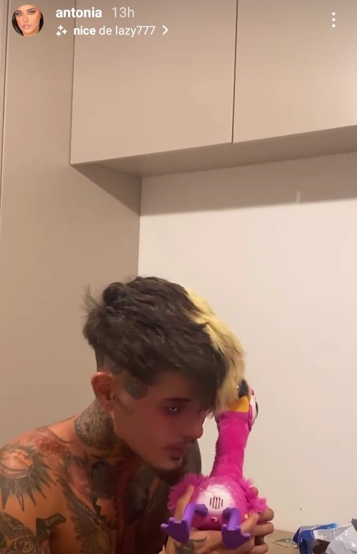 Zanni Survivor România