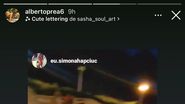 Simona Hapciuc și Albert Oprea