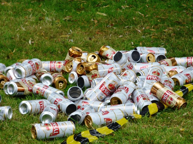 Gunoaie neridicate Sector 1