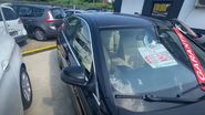 Bianca Comănici Puterea Dragostei