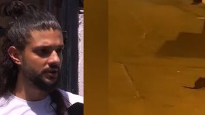 Cătălin, tânărul mușcat de șobolan în București