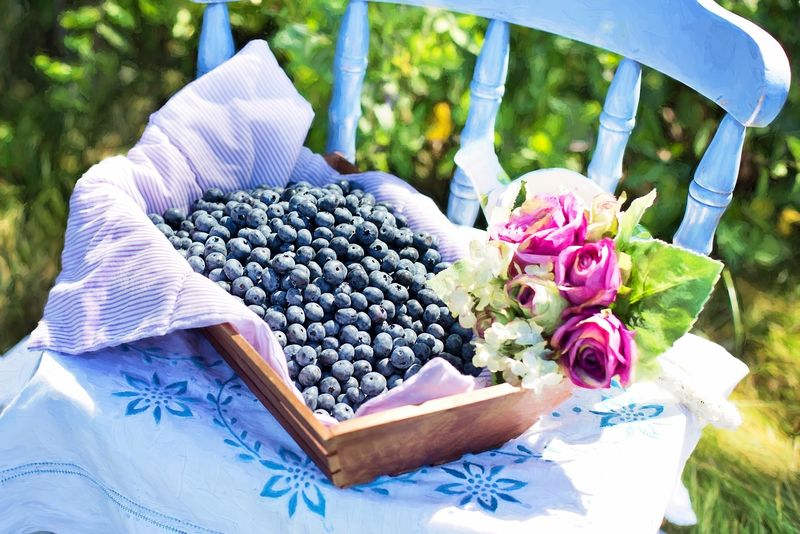 Ce beneficii îți oferă consumul de afine, fructele delicioase ale lunii august