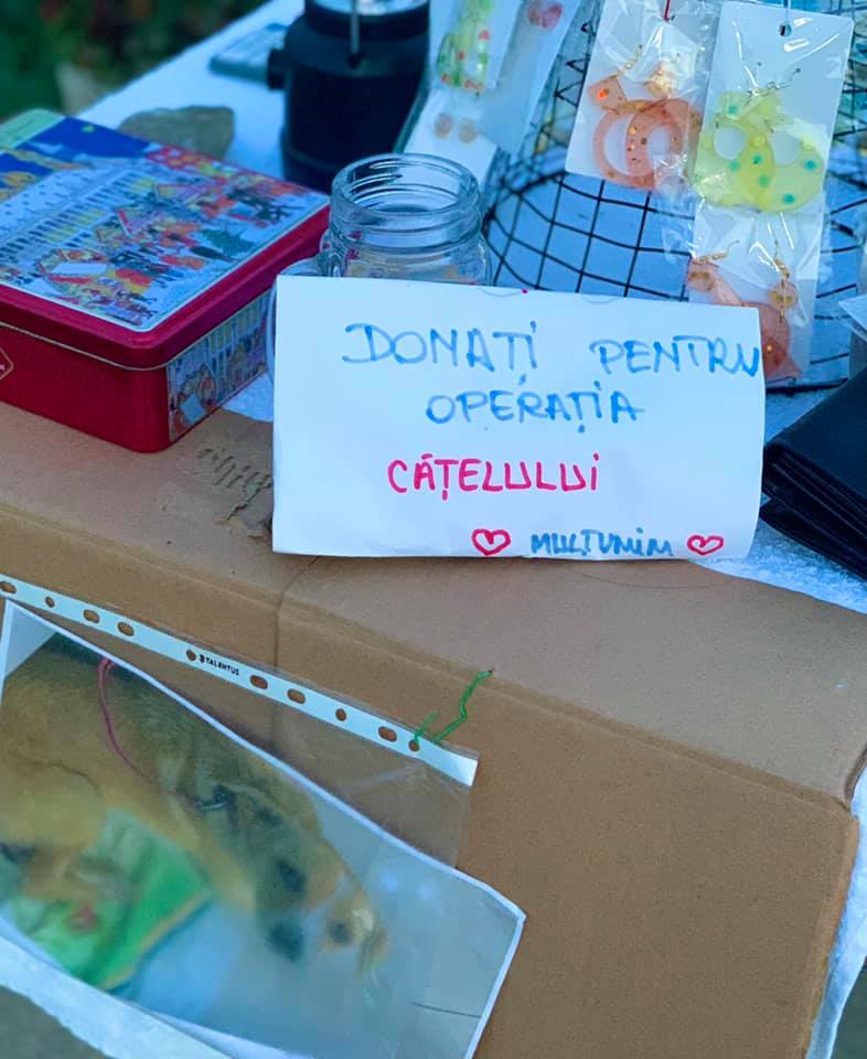 Tiara luptă pentru cățelușul ei 