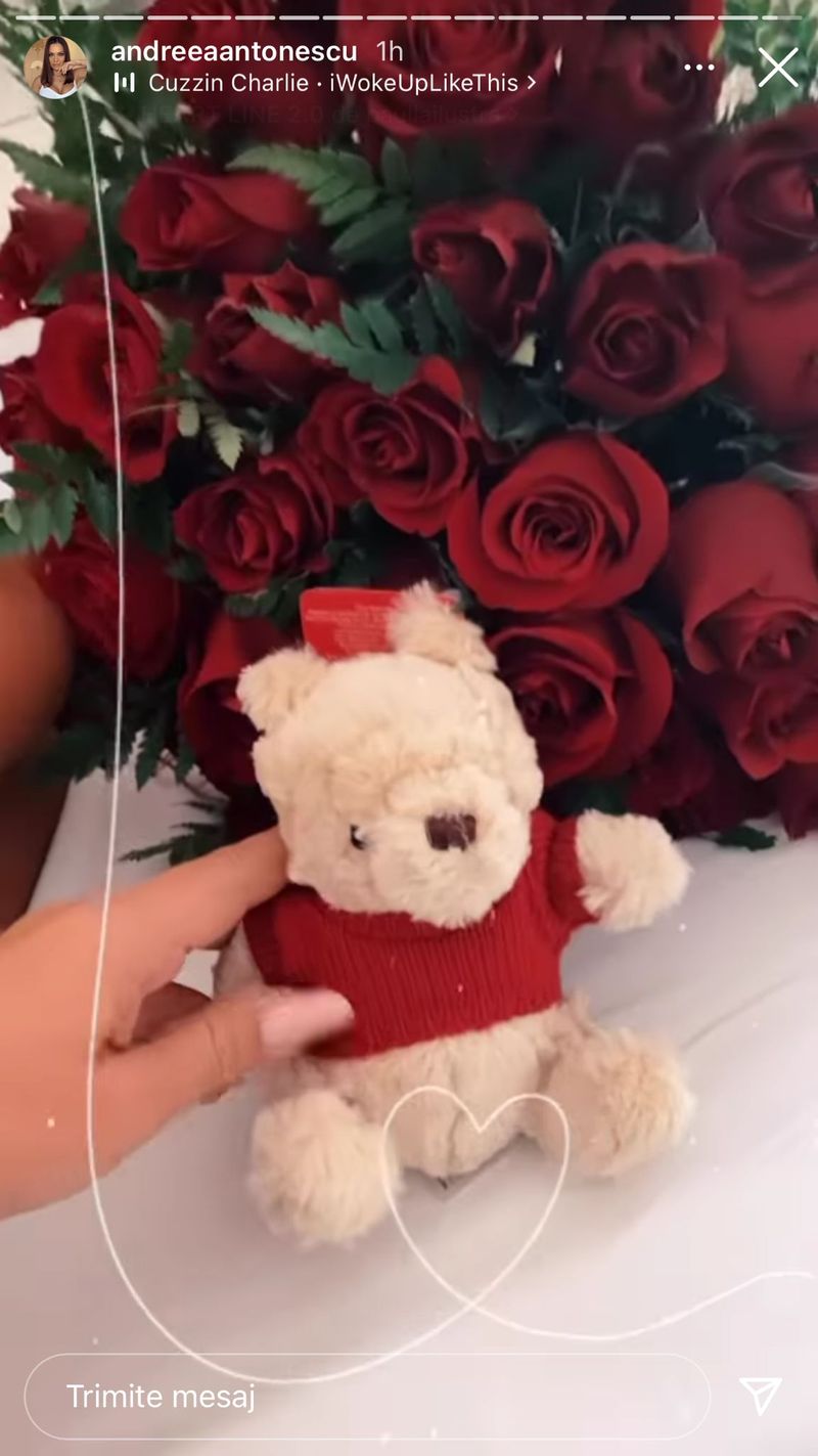 Buchetul de trandafiri primit de Andreea Antonescu