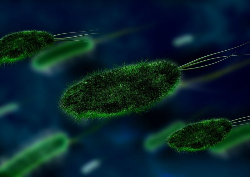 S-au găsit două bacterii în apele de pe litoral 