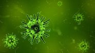Pandemia de coronavirus