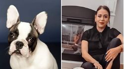 Câinele Oanei Roman s-a pierdut! Vedeta este disperată: "Nu știm ce să facem"