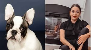 Oana Roman și-a pierdut câinele