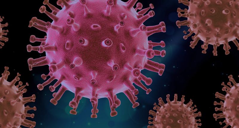Bilanț coronavirus, 30 august 2021