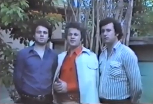 Nicolae, Ion și Constantin Dolănescu 