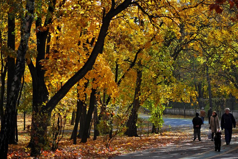 Prognoza METEO ANM, azi, 2 septembrie 2021