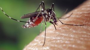 Virusul West Nile 