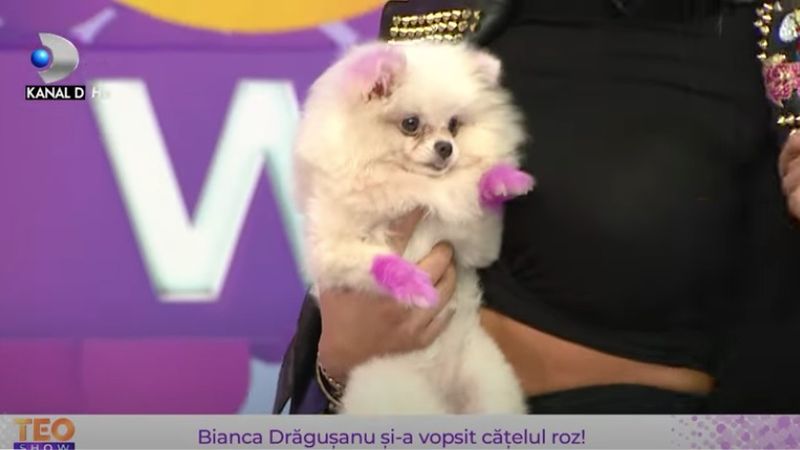 Bianca Drăgușanu